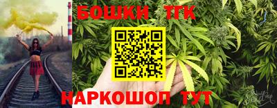 Альфа ПВП Гатчина