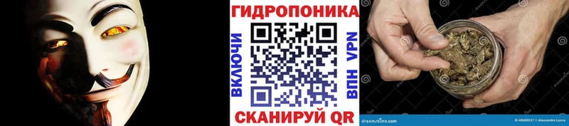 Бошки марихуана SATIVA & INDICA  купить наркотик  мега зеркало  Углич 